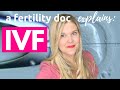 What is IVF? A Fertility Doctor Explains In Vitro Fertilization