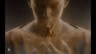 Tha Federline - Upward to the moon | [ TF Remix Hight song ] | Peng Pong