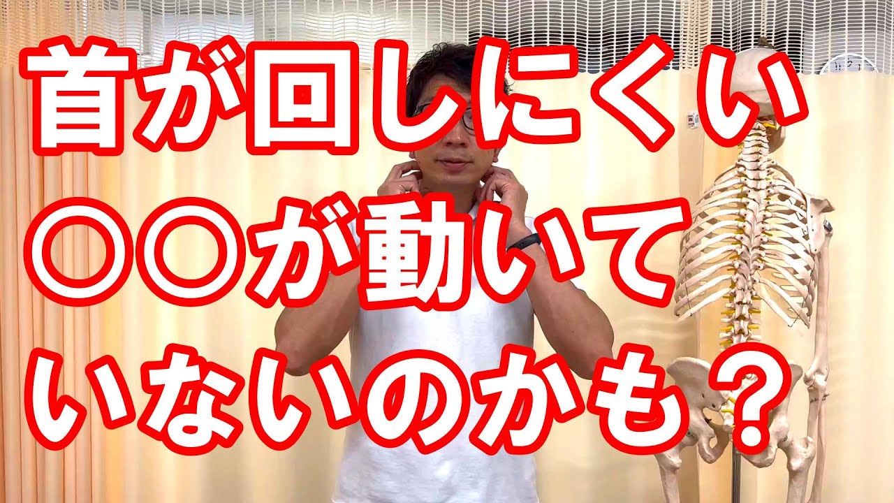 首が回しにくい時は○○が十分に動いていないかも？～痛みや不調があるときは隣の関節に注目してみよう～