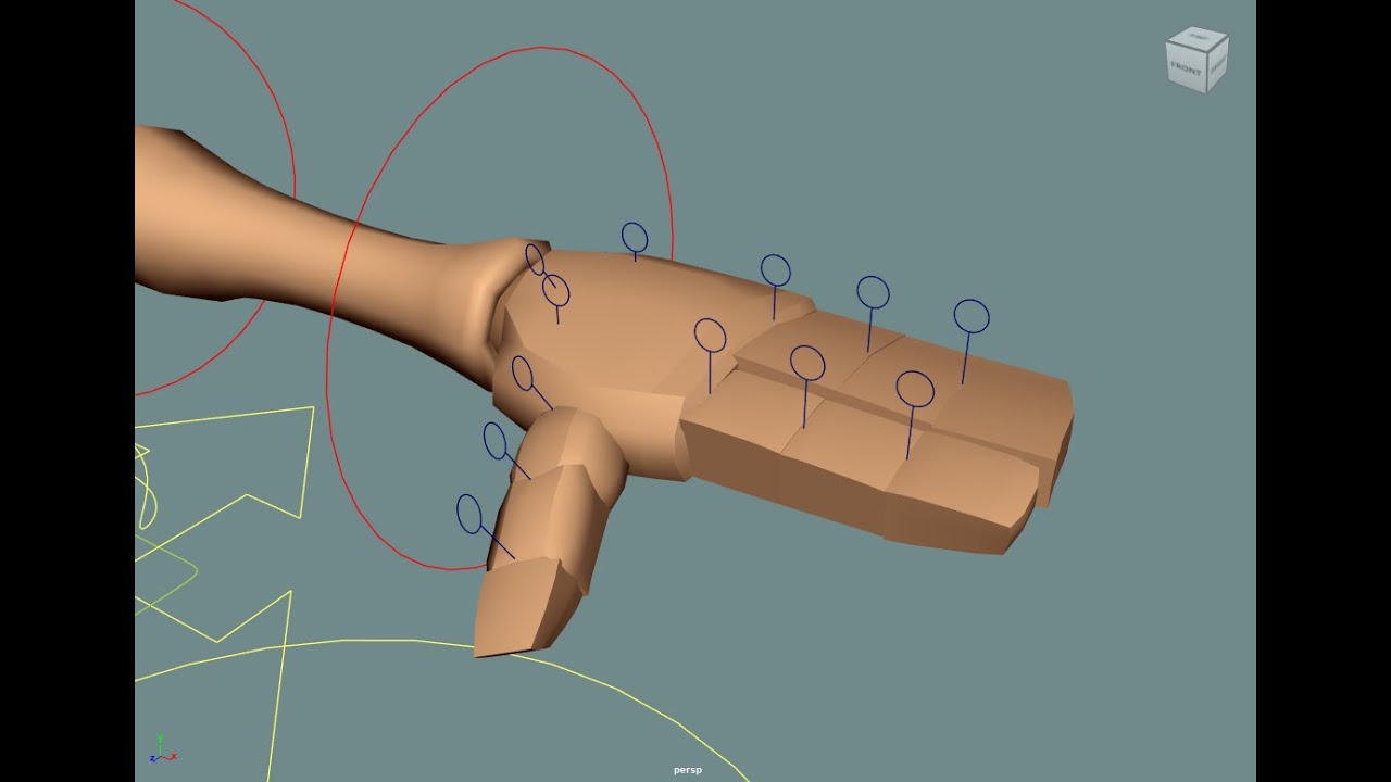 Rigging of a Biped Character: Rigging of the Arm part 3 - FK Fingers ...