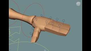 Rigging of a Biped Character: Rigging of the Arm part 3 - FK Fingers