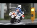 【白バイ2連発】完全にアウトな信号無視!白バイが攻めた走りで捕まえる