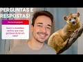 Q&amp;A #5 Vou Comprar um Jupará?