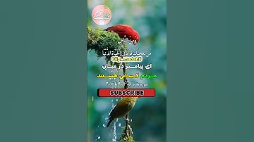 سورة مبارکه بقرة آیات 204 تا 206 #quran