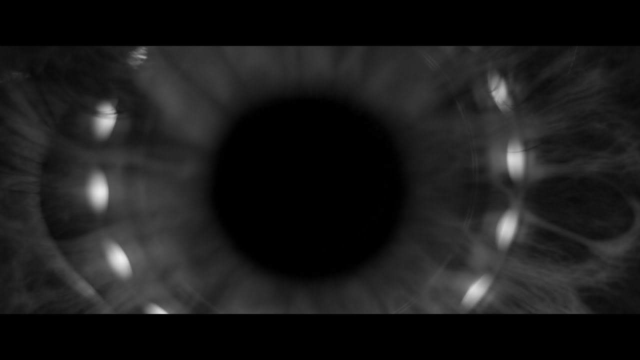 Watch Laibach - We Are Millions And Millions Are One (Official video) on YouTube Watch Laibach - We Are Millions And Millions Are One (Official video) on YouTube