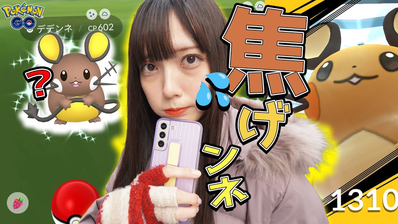色違いデデンネ狙ってレイドと野生とリサーチで あ 焦げた ポケモンgo Youtube