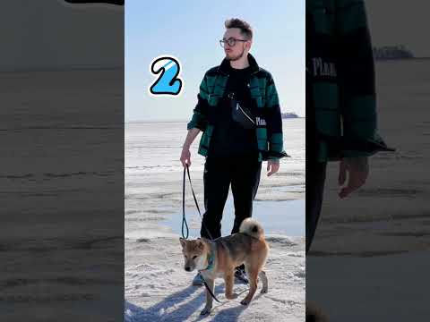 Отправь друзьям Пусть угадают Кого ты мечтаешь встретить?#shorts