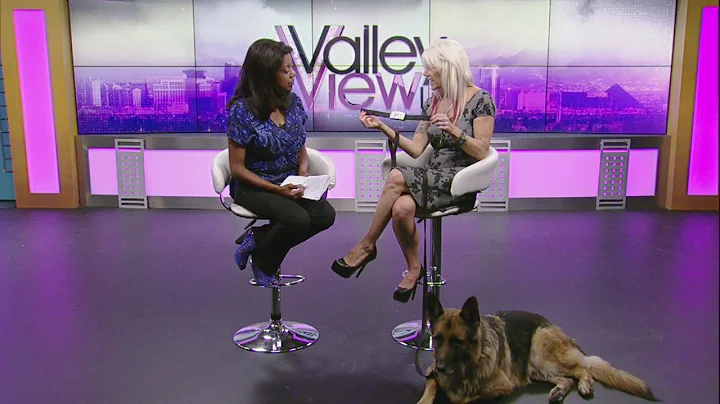 Julie Pyle chats pet safety on Valley View Live!