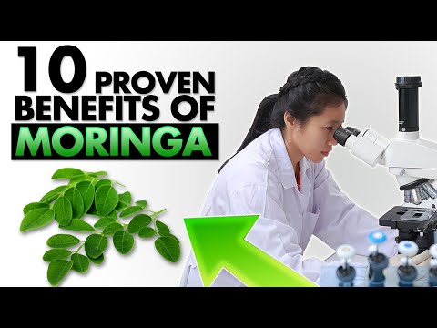 10 Proven Health Benefits of Moringa Powder