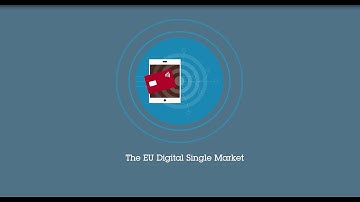The EU Digital Single Market