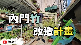 盆栽教學| 移植竹子培育方法,改造計劃啟動！！START!【松菓 ... 