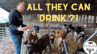 AD LIB MILK FOR CALVES | HOW MUCH MORE WILL IT COST €€€ ? by FARMER PHIL 37,554 views 2 months ago 22 minutes
