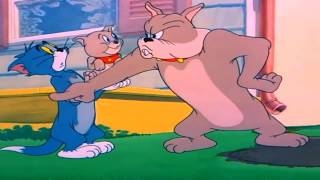 Tom Y Jerry En Español - Slicked Up Pup The Fast And The Furry Dibujos Animados Para Niños