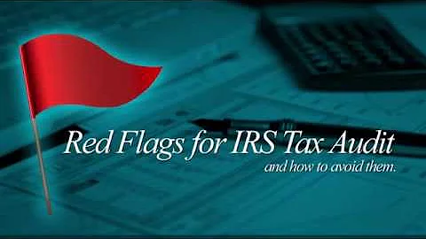 Red Flags for IRS Tax Audit - What they are and how to avoid them - Torchlight Tax