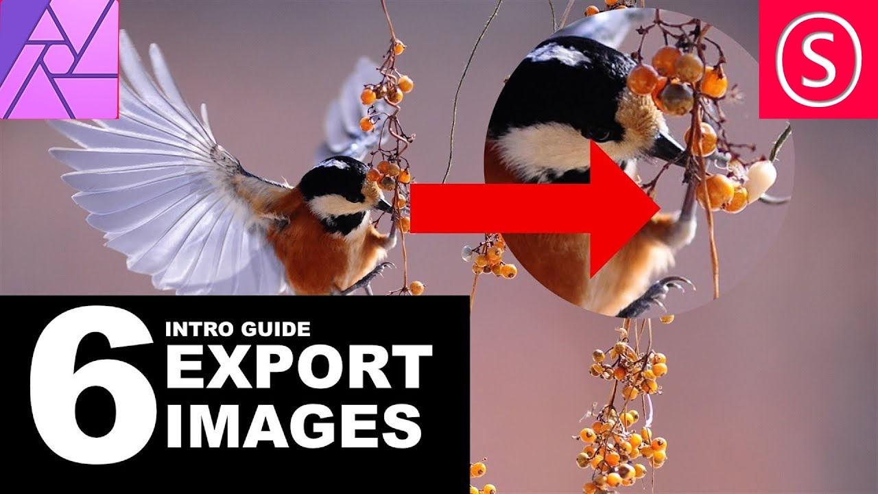 Affinity Photo – Photo Export Intro