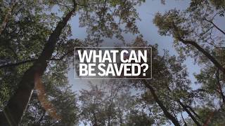What Can Be Saved? Episode 10 - Fight For Survival | Sneak Peek | AP