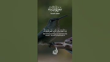 قل إن ربي يبسط الرزق لمن يشاء ويقدر | سورة سبأ | بلال الشاكر