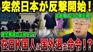 【ゆっくり解説】ついに日本政府が動く！【海外の反応】