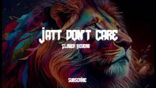 Jatt don't care (Sultan) Slowed Reverb Lofi Full song Punjabi Rapp