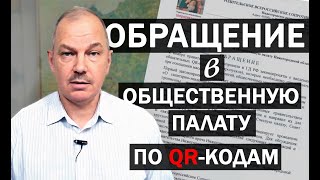 Владимир Панов о круглом столе по проблеме узаконивания QR-пропусков