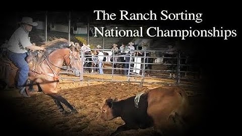 RANCH SORTING - NATIONALS CHAMPIONSHIPS