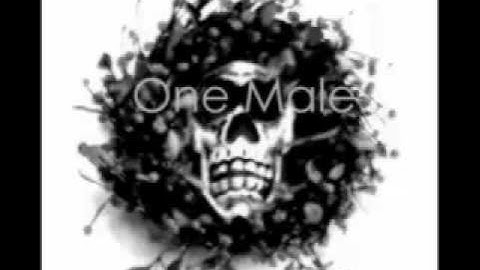 One Male. Spiders in the trees T.I.R. Totally Illegal Recordings