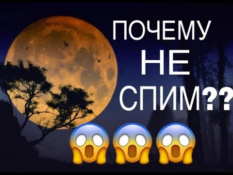 Почему попугай ночью не спит???