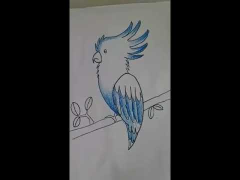 Learn to draw Parrot easy, step by step - Part 2 - YouTube