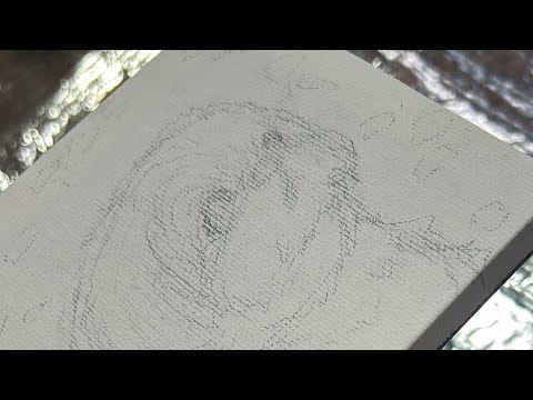シーズー犬あうんのてんぽ 2nd がライブ配信中！