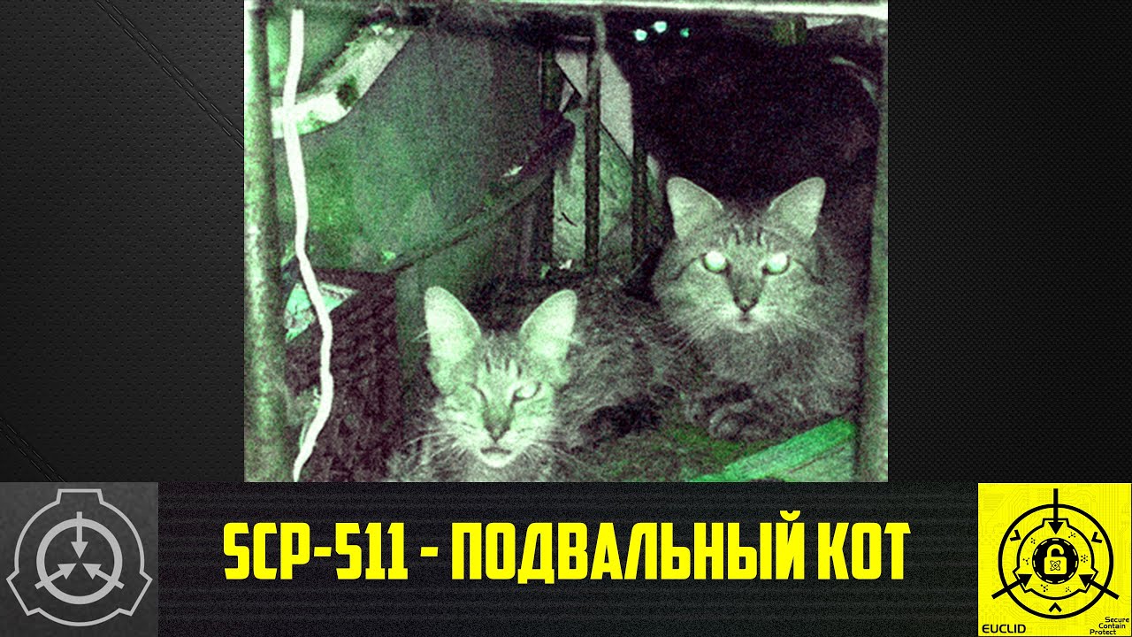 SCP-511 - Подвальный кот (СТАРАЯ ОЗВУЧКА) - YouTube.