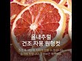 건조과일 A급 자몽 원형컷 100g (약21입) 11,000원