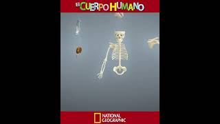 CUERPO HUMANO 10s 4 5