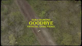 Sara Diamond Goodbye
