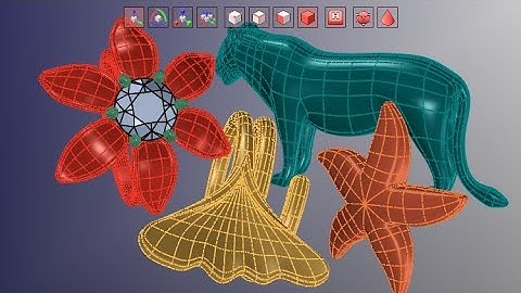 Complete Clayoo Course in MatrixGold