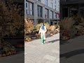 #Dekoracje na Halloween#Jesienna dynia#Jesienna dynia Wystawa Wieży Jedności w Krakowie#JRworld#2025