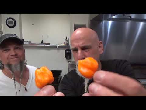 Johnny vs. a Normie…Josh tries a Scotch Bonnet and a Caribbean Red Habanero…..how does he do?