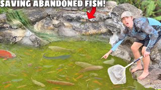 Saving Aqaurium Fish LIVING in ABANDONED POND!