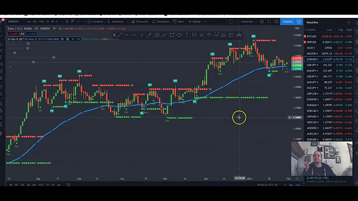 How to Trade Forex as a Beginner using Our Exclusi...
