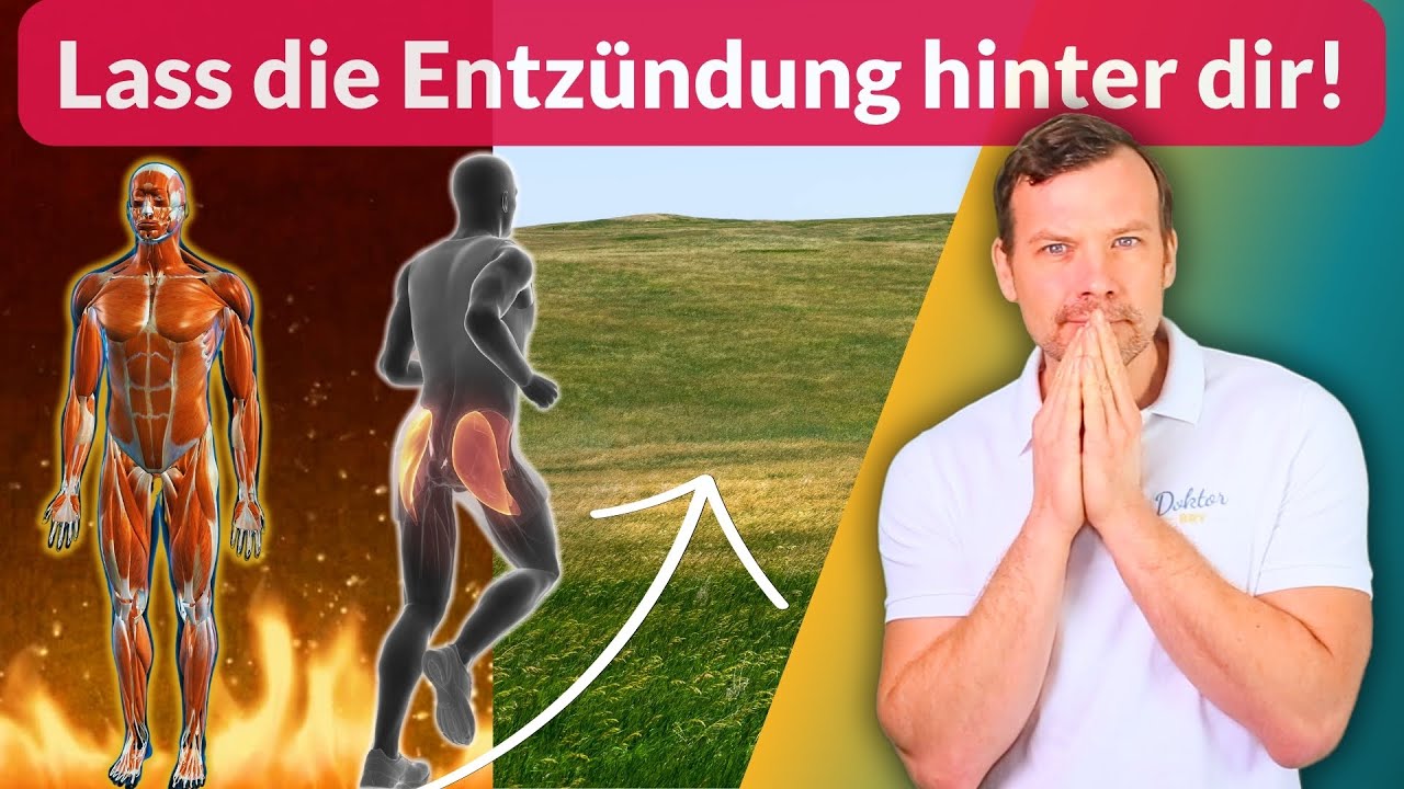 Entzündungen heilen | Dr. Petra Bracht | Wissen, Gesundheit