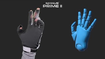 Prime II Gloves preview