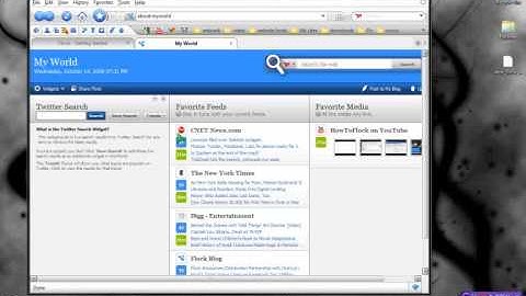 review of the flock browser