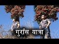 Sunil Giri - VLOG | Gurash Yatra | Surkhet | Visit Nepal