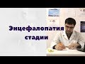 Дисциркуляторная энцефалопатия стадии и их проявления