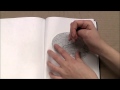Understanding the Brain