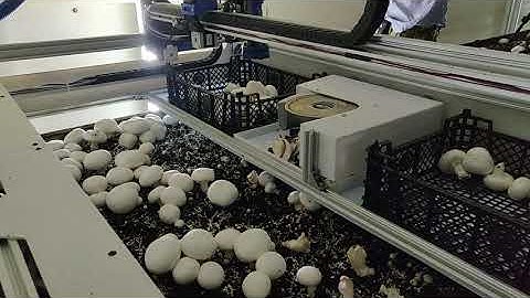 Mushroom Picking Robot by Reest - August 2020 ( Part 1 )