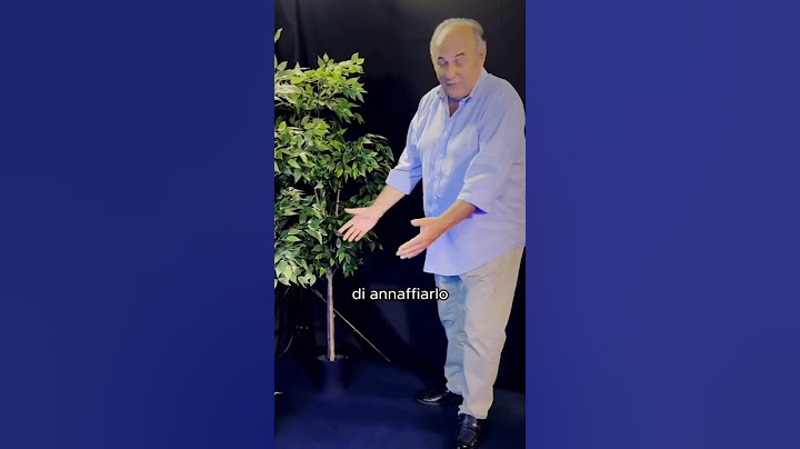 Gerry Scotti sfotte Muschio Selvaggio #shorts #gerryscotti #muschioselvaggio