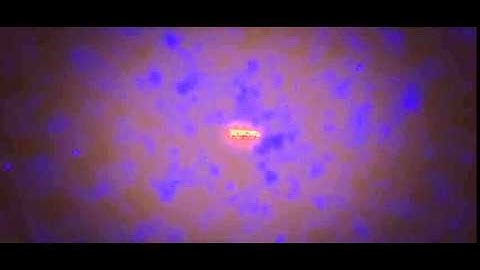 Dacho - Intro (Dual w/Aquaa)