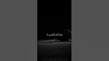القران الكريم #المسجد_الحرام #اكسبلور #مصر #دويتو #duet #السعودية #المصحف #راحة_نفسية #لايك #غزة