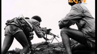 ኤርትራ The meaning of 20 Sene - Eritrean Martyr Day screenshot 1
