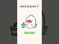 I am pirate duck! #duck